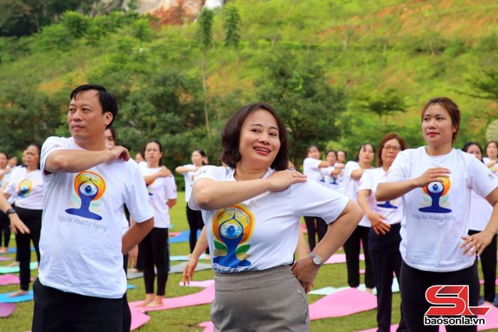 Các động tác Yoga.
