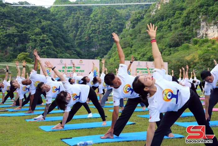 Các thành viên thực hiện màn đồng diễn giao thức Yoga.