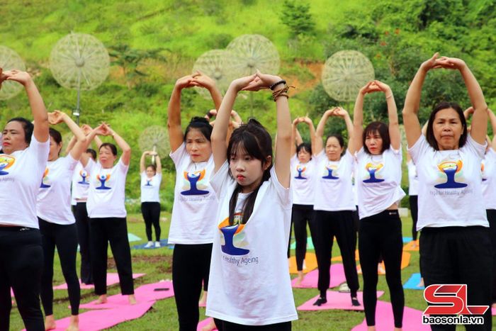 Các bài tập Yoga được công nhận tốt cho sức khỏe.