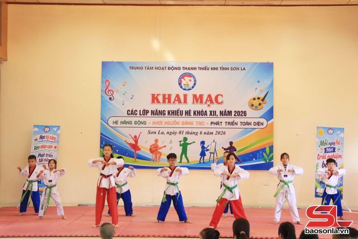 Thiếu nhi tham gia các lớp năng khiếu hè tại Trung tâm Hoạt động thanh thiếu nhi tỉnh.