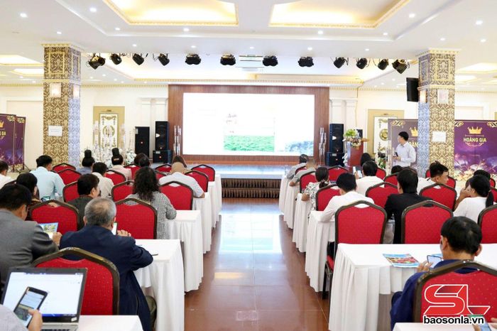 Liên minh HTX tỉnh tập huấn kỹ năng kinh doanh trên nền tảng số, phát triển kinh tế tập thể.