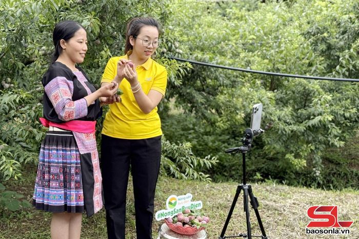 Cán bộ Bưu điện tỉnh Sơn La hỗ trợ người dân xã Phiêng Khoài xây dựng video, clip quảng bá sản phẩm mận.