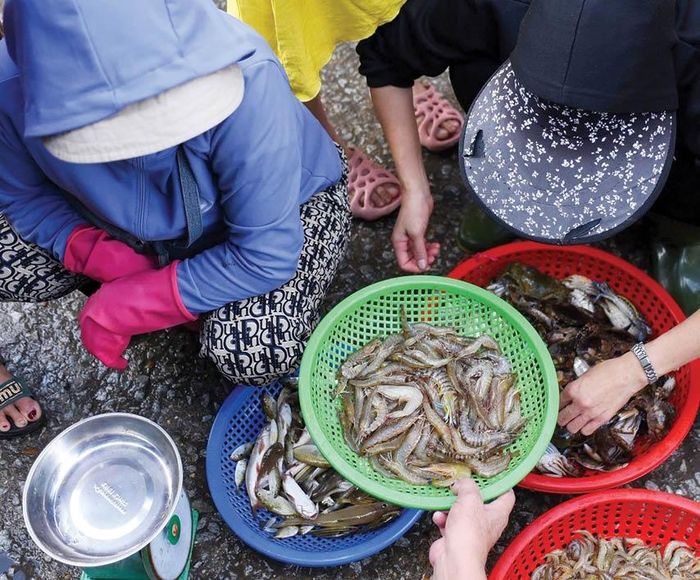  Quà của đầm phá