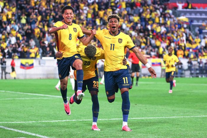 Tuyển Ecuador sẽ là "ngựa ô" tại World Cup 2026.