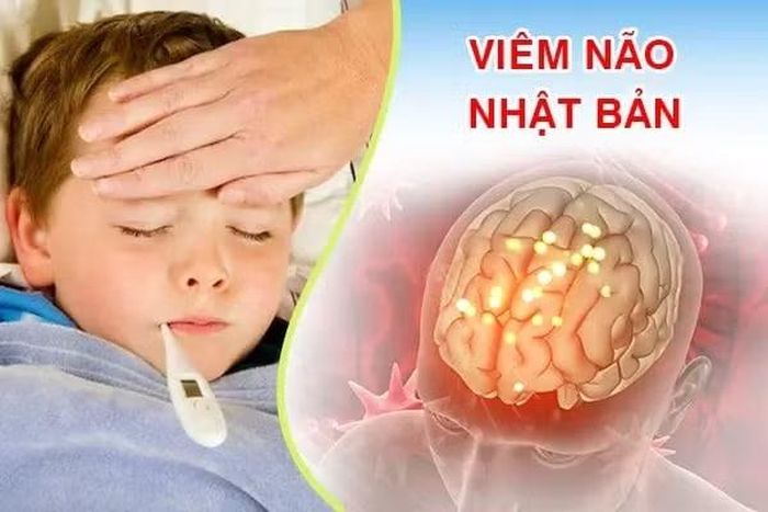 Viêm não Nhật Bản là bệnh truyền nhiễm nguy hiểm hàng đầu ở trẻ em.