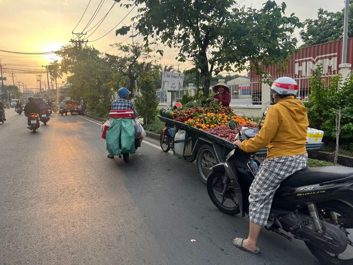 Các xe bán trái cây trên đường số 7, KCN Vĩnh Lộc.