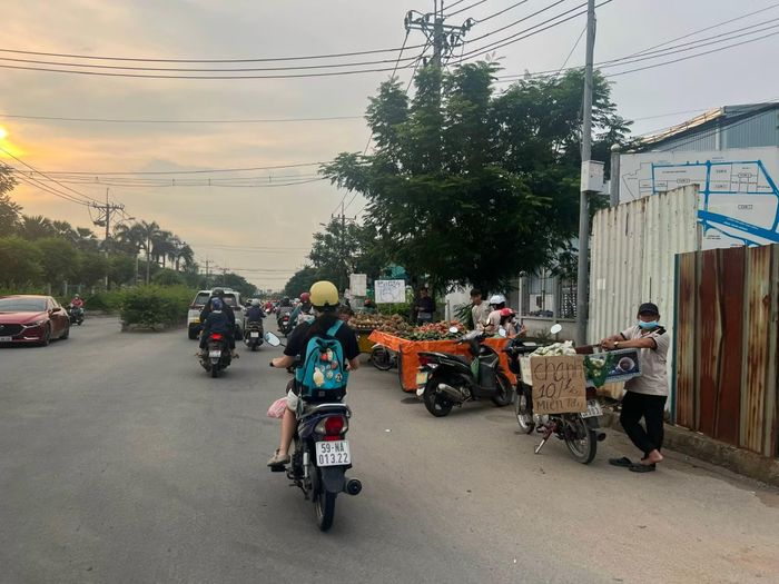 Các loại trái cây bán trên xe di động khu vực đường M1.