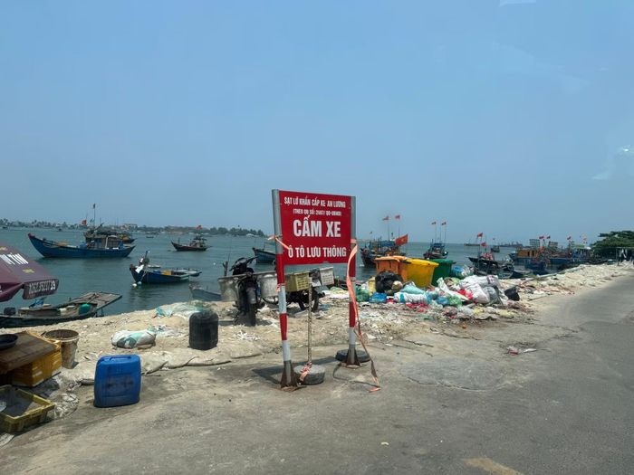 Khu vực An Lương, xã Duy Nghĩa là một trong những điểm sạt lở nghiêm trọng ven sông Thu Bồn cần được xử lý khẩn cấp.