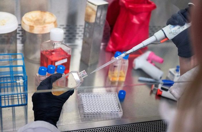 Một nhà khoa học trong phòng thí nghiệm của Tiến sĩ Vinod Balachandran tại Trung tâm Ung thư Memorial Sloan Kettering sử dụng pipet để chuẩn bị mẫu. Ảnh: REUTERS