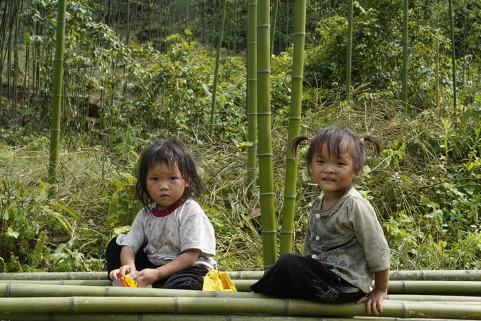 Hồn nhiên lớn lên cùng năm tháng