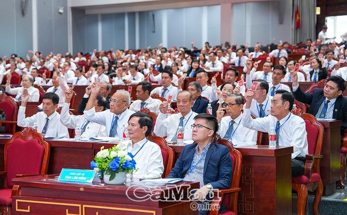 Đại biểu biểu quyết thông qua Nghị quyết Đại hội, cùng phương hướng, nhiệm vụ hoạt động trong nhiệm kỳ mới.