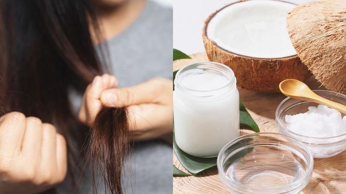 Để phục hồi mái tóc bị hư tổn, bạn có thể ủ tóc bằng những nguyên liệu tự nhiên như dầu dừa, dầu ô liu. Ảnh minh họa