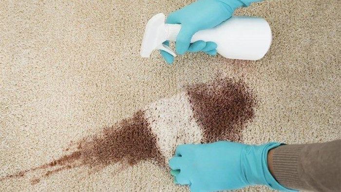 Khi thảm bị bẩn, nên xử lý vết bẩn ngay lập tức. Ảnh minh họa