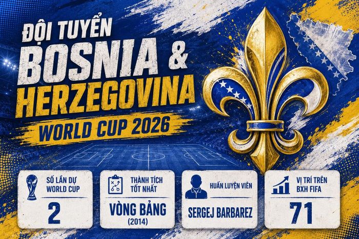 Thông tin đội tuyển Bosnia &amp; Herzegovina.