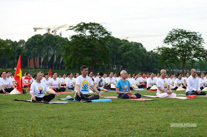 Các yogi cùng thực hành những động tác đồng bộ trong không gian xanh của công viên.