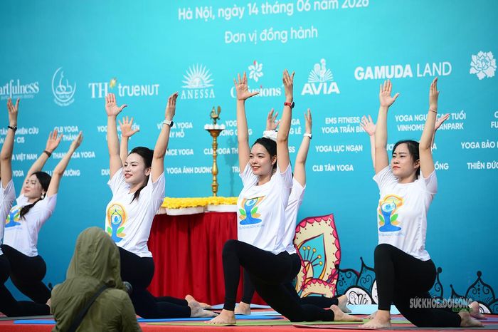 Các câu lạc bộ Yoga biểu diễn tại sự kiện.