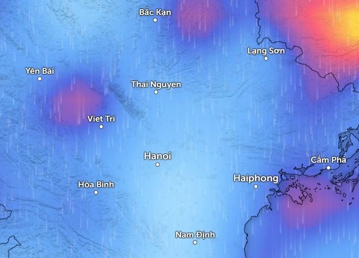 Mô hình GFS của Mỹ dự báo mưa diện rộng ở miền Bắc vào sáng 16/6. Ảnh: Zoom Earth, OpenStreetMap, GFS.