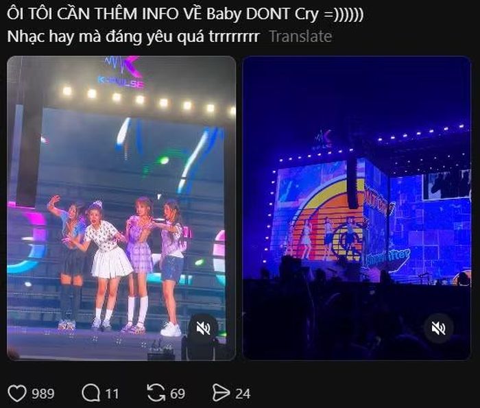 Những phản hồi tích cực từ Vnet dành cho tân binh nhà P NATION - Baby DONT Cry sau 2 set diễn đầy năng lượng ở Hà Nội, từ bài “xin suộc”, tìm info đến tuyên bố sẽ “bế” (từ lóng: stan, ủng hộ) nhóm trong tương lai.