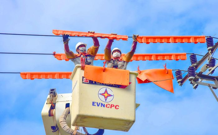 Công nhân kỹ thuật của EVNCPC sửa chữa lưới điện.