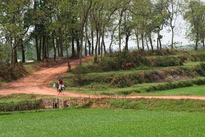 Những vòng lũy thành đất vẫn đang hiện hữu tại Khu di tích Cổ Loa. Ảnh: B.LINH