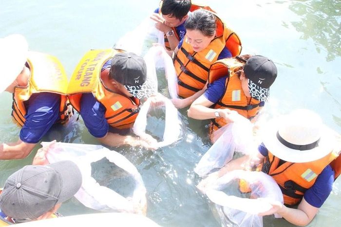 Thời gian qua, Novotel Nha Trang đã có nhiều hoạt động chung tay bảo vệ môi trường với cộng đồng địa phương như thả cá giống, trồng rừng ngập mặn hay giảm thiểu tác động đến môi trường
