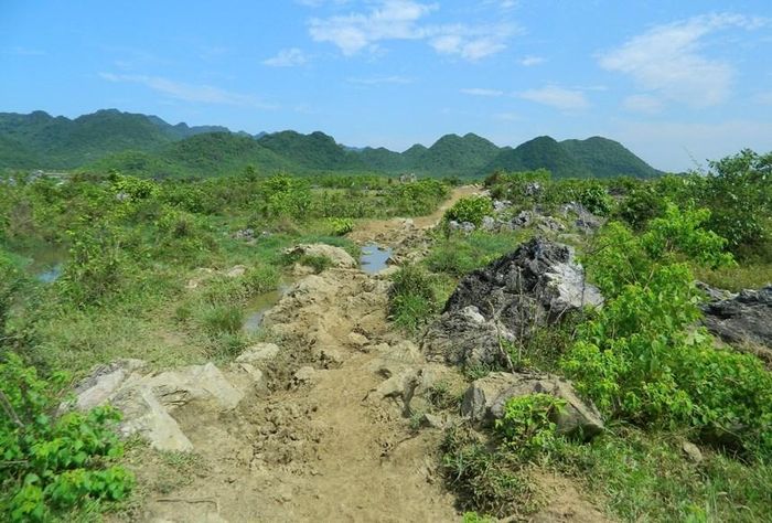 Vùng đá lộ đầu trải rộng gần như khắp Cúc Phương, gây rất nhiều khó khăn trong việc canh tác nông nghiệp