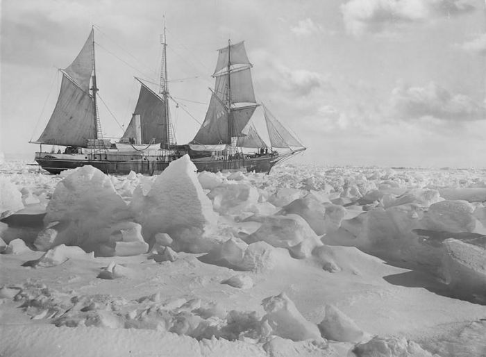 Tàu Endurance bị băng trôi đè bẹp và chìm vào năm 1915. Ảnh: Getty Images