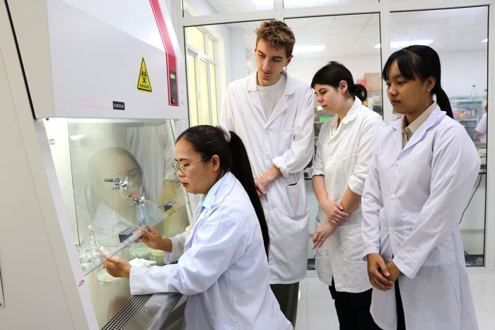 Đại học Trà Vinh (Vĩnh Long) hiện có 5 trường thành viên và 27 ngành đạt kiểm định chất lượng quốc tế (FIBAA, AUN-QA, ABET). Năm 2025, nhà trường đào tạo trên 30.000 sinh viên, học viên, nghiên cứu sinh; góp phần cung ứng nguồn nhân lực chất lượng cao cho địa phương và khu vực Đồng bằng sông Cửu Long. Ảnh: Thanh Hòa - TTXVN