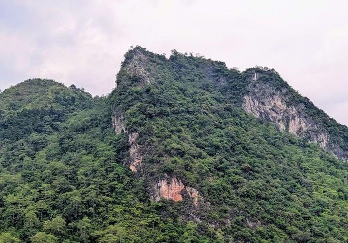 Khu vực điểm cao 685, xã Thanh Thủy, tỉnh Tuyên Quang.