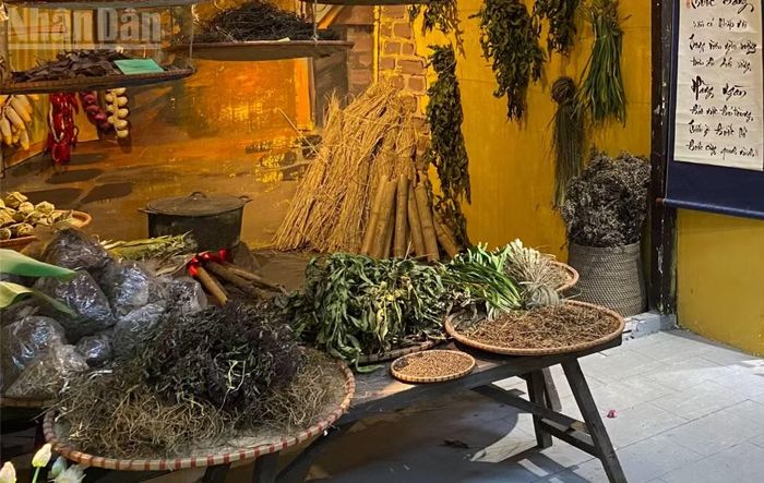 Hai bên là không gian bếp và phòng khách. Gian bếp xưa tái hiện trọn vẹn không khí tất bật ngày giáp Tết với tục ủ cơm rượu nếp, ngâm rượu thuốc, gói bánh tro và nấu các loại chè cổ truyền. Đặc biệt, điểm nhấn tại đây là phong tục hái thảo mộc vào đúng giờ Ngọ để làm thuốc dùng cho cả năm - nơi những loài cây quen thuộc như ngải cứu, tía tô, đinh lăng hay hoa nhài được tôn vinh như một phần di sản trong tri thức y học dân gian của người Việt.