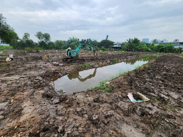 Đất bùn, lục bình và nguồn hữu cơ được tận dụng để phục hồi vùng đất nhiễm phèn.