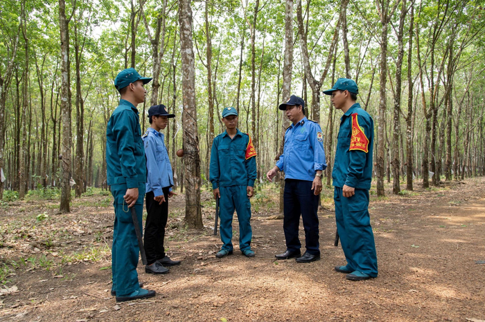 Phối hợp tuần tra bảo vệ rừng cao su tại Công ty Cổ phần Cao su Tân Biên, Tây Ninh. Ảnh: ĐÀO PHONG 