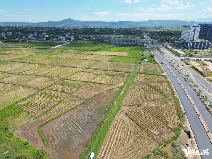 Để nhà đầu tư có thể thực hiện dự án, Hà Tĩnh đề xuất chuyển 33ha diện tích trồng lúa sang đất phi nông nghiệp.