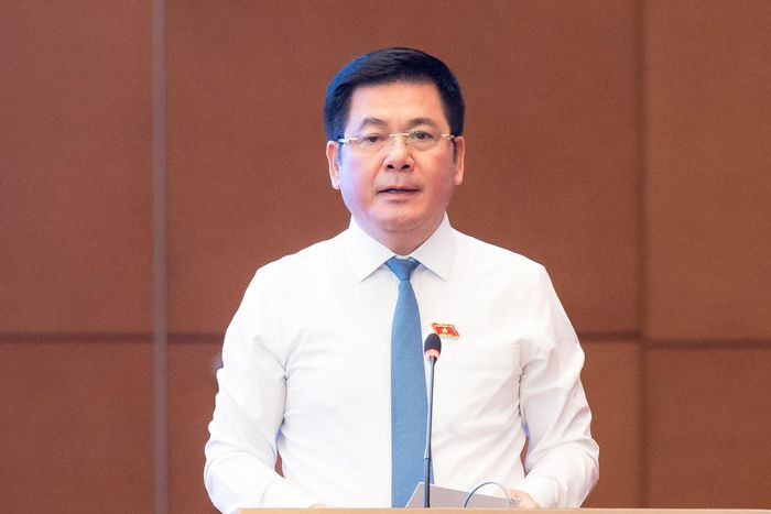 Phó Chủ tịch Quốc hội Nguyễn Hồng Diên phát biểu