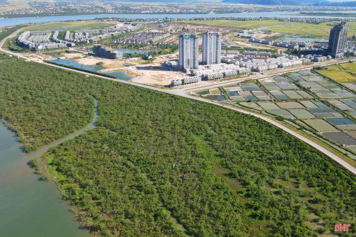Dự kiến chiều dài phần tuyến và cầu thuộc địa phận tỉnh Nghệ An khoảng 1,25 km, thuộc địa phận tỉnh Hà Tĩnh khoảng 2,25 km. Như vậy, phần lớn phạm vi tuyến, khối lượng giải phóng mặt bằng và các nội dung tổ chức triển khai dự án thuộc địa phận tỉnh Hà Tĩnh.