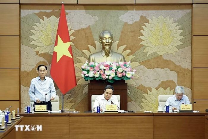 Bộ trưởng Bộ Ngoại giao Lê Hoài Trung phát biểu. (Ảnh: Doãn Tấn/TTXVN)