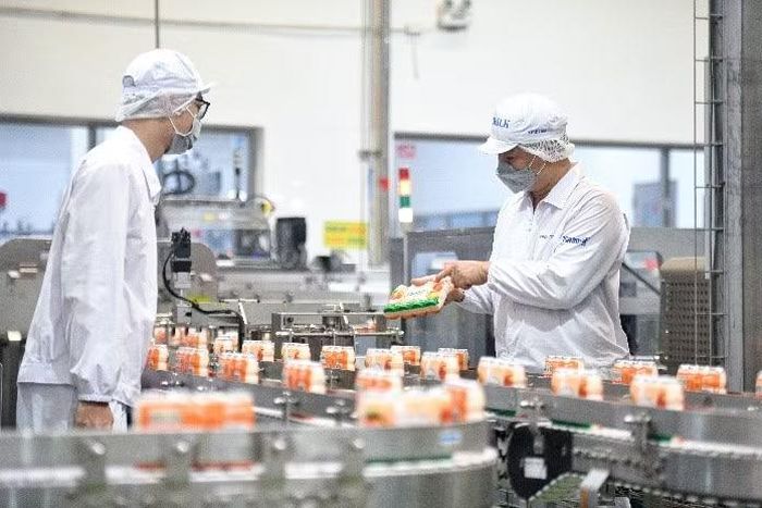Sản phẩm sữa chua uống không dùng ống hút và bao bì dễ tái chế đã xuất khẩu đến thị trường khu vực Châu Đại Dương. (Ảnh: Vinamilk cung cấp)