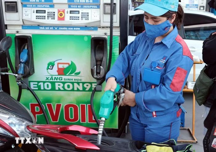 Tất cả các cửa hàng có kinh doanh xăng đã thực hiện chuyển đổi sang kinh doanh nhiên liệu sinh học. (Ảnh: Trần Việt/TTXVN)