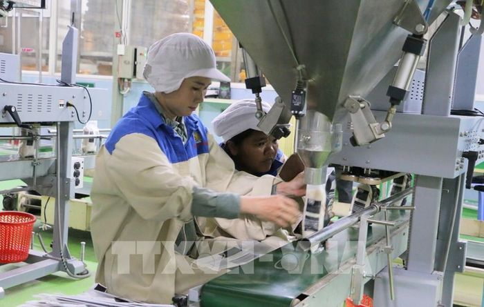 Đóng gói gạo xuất khẩu tại Công ty Trách nhiệm hữu hạn Một thành viên Lương thực Thoại Sơn, thuộc Công ty Cổ phần Tập đoàn Lộc Trời. Ảnh: Công Mạo - TTXVN