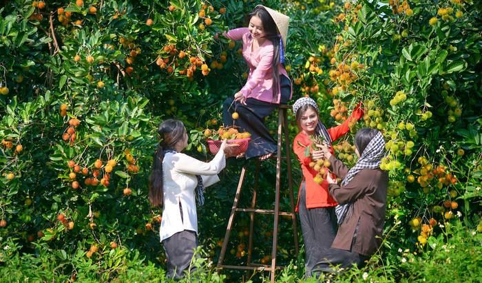 Khung cảnh miệt vườn ở quê Quốc Trường.