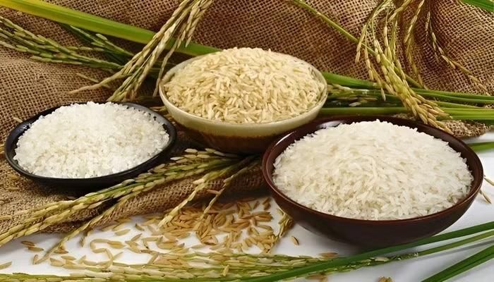 Giá lúa gạo trong nước không có nhiều biến động