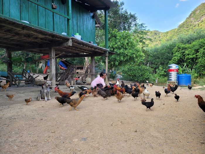 Tự cung tự cấp là mô hình sinh kế chính của bà con Vân Kiều, bên cạnh thu hái những sản vật phi gỗ từ rừng. Ảnh: Phạm Sơn.