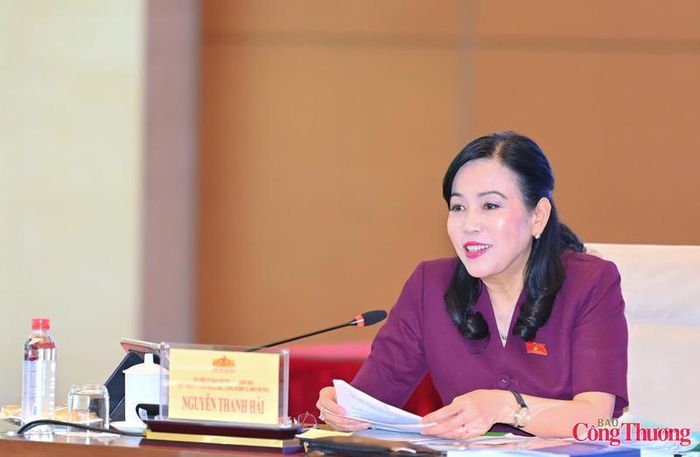 Chủ nhiệm Ủy ban Khoa học, Công nghệ và Môi trường Nguyễn Thanh Hải điều hành phiên thảo luận.
