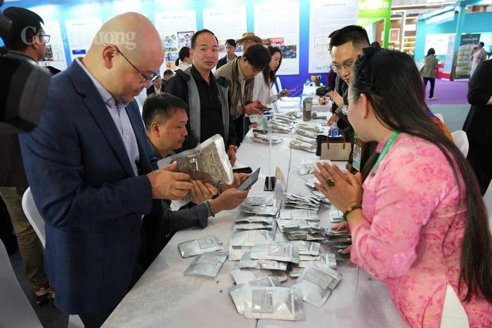Đại diện doanh nghiệp hai nước trực tiếp trao đổi và tìm kiếm cơ hội hợp tác tại khu vực giao thương chuyên sâu. Ảnh: Cục XTTM 