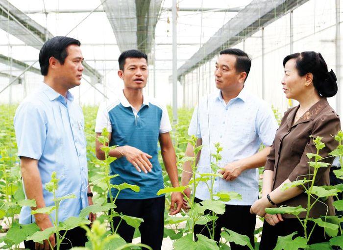 Đồng chí Lê Xuân Lợi, Phó Chủ tịch UBND tỉnh tham quan mô hình trồng dưa lưới trong nhà màng ở phường Tân An.