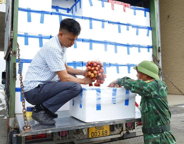  Quả vải Bắc Ninh xuất khẩu qua Cửa khẩu Quốc tế đường bộ số II Kim Thành. 