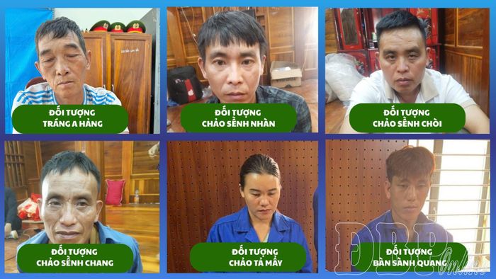 Các đối tượng bị bắt giữ trong chuyên án 426C.