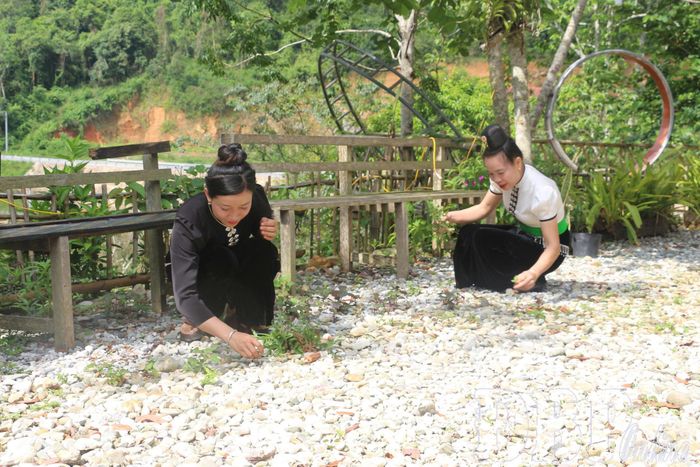 Người dân Bản du lịch cộng đồng U Va, xã Thanh Yên cải tạo cảnh quan và không gian đón khách. 