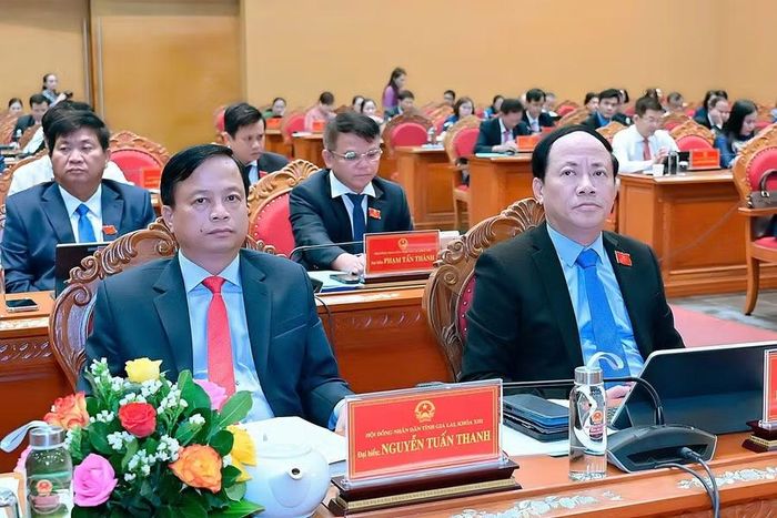 Chủ tịch UBND tỉnh Phạm Anh Tuấn (bên phải) dự kỳ họp. Ảnh: Đức Thụy