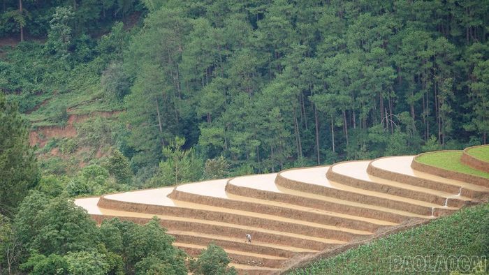 Người dân duy trì sản xuất trên ruộng bậc thang, góp phần gìn giữ cảnh quan và giá trị của danh thắng.